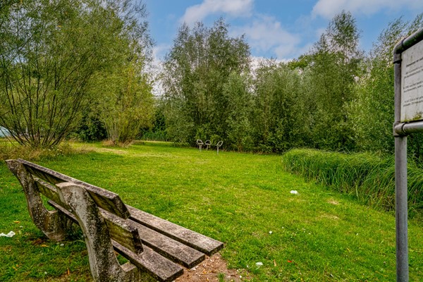 Medium property photo - De Houtmanstraat 113, 6826 PH Arnhem